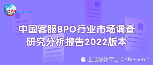 2022年中国客服BPO行业市场调查研究分析报告 简版